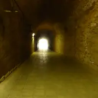 猿島の写真・動画_image_18858