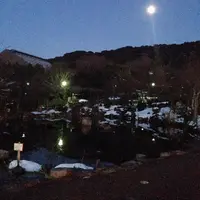 円山公園の写真・動画_image_19871