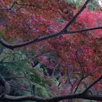 三溪園の写真・動画_image_20002