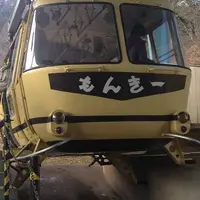 宝登山の写真・動画_image_21165
