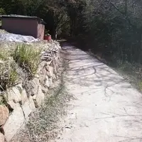 伏越港 フェリー乗り場の写真・動画_image_24019