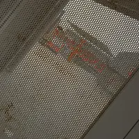 大宮公園の写真・動画_image_26983