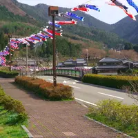 グリーンエコー笠形の写真・動画_image_29864