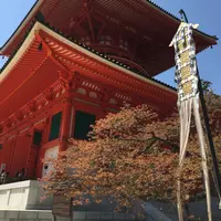 壇上伽藍の写真・動画_image_30180