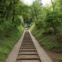 弘法山の写真・動画_image_30612
