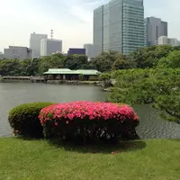 浜離宮恩賜庭園の写真・動画_image_32437