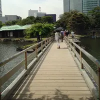 浜離宮恩賜庭園の写真・動画_image_32438
