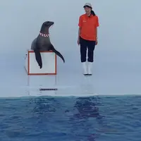 鶴岡市立加茂水族館（クラゲドリーム館）の写真・動画_image_40966