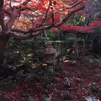 二尊院の写真・動画_image_54243