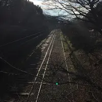 南禅寺の写真・動画_image_56636