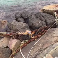 波子漁協の写真・動画_image_58192