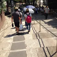 井の頭恩賜公園の写真・動画_image_58733
