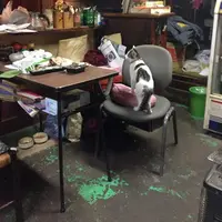 大木洋食店の写真・動画_image_60106