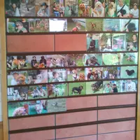 山崎町田井２２８の写真・動画_image_61252