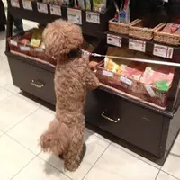 ILIOの写真・動画_image_65407