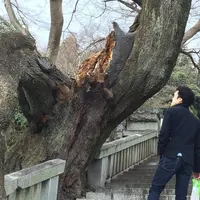 慈光寺の写真・動画_image_67195