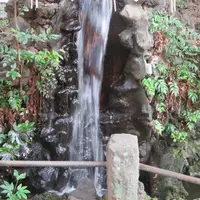 世田谷八幡宮の写真・動画_image_69337