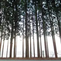 田沢湖の写真・動画_image_73392