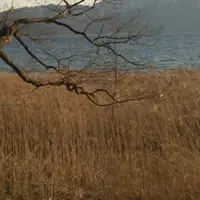 田沢湖の写真・動画_image_73801