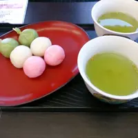 兼六園の写真・動画_image_75504