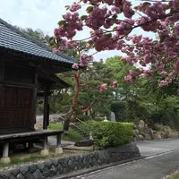 嶽林寺の写真・動画_image_75692