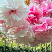 下目黒１丁目７−９の写真・動画_image_76799