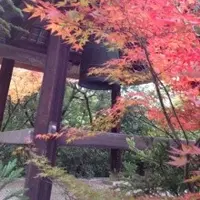 光悦寺の写真・動画_image_123711