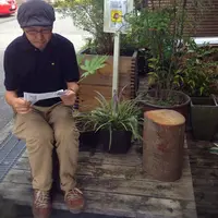 ミドリカフェの写真・動画_image_155809