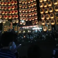 秋田市竿燈会の写真・動画_image_1587482