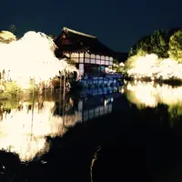 平安神宮の写真・動画_image_170188