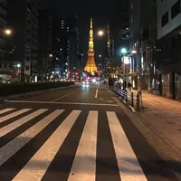 東京タワーの写真・動画_image_200919