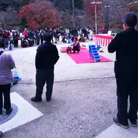 香嵐渓の写真・動画_image_206085