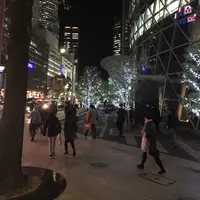 笹島からナナちゃんの写真・動画_image_207110