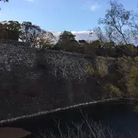 大阪城公園の写真・動画_image_210832