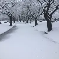 青森市役所市民生活部月見野霊園管理事務所の写真・動画_image_210916