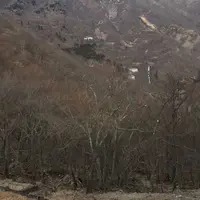 いろは坂の写真・動画_image_212014