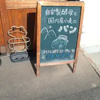 ノモケマナの写真・動画_image_256979