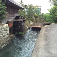 大宮の写真・動画_image_159045