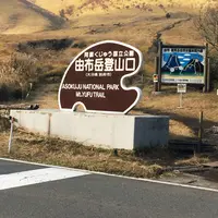 由布岳の写真・動画_image_207927