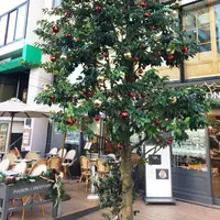 麻布台日ノ樹ビルの写真・動画_image_209706