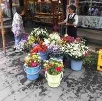 輪島朝市の写真・動画_image_216264