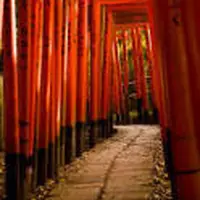 根津神社の写真・動画_image_30833