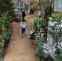 Solso Farmの写真・動画_image_32123