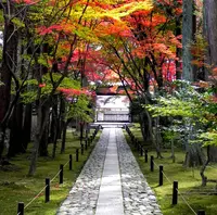 鹿王院駅の写真・動画_image_65369