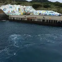 宝島の写真・動画_image_128488