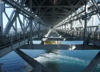 渦の道の写真・動画_image_21314