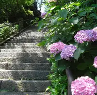 持宝院の写真・動画_image_26560