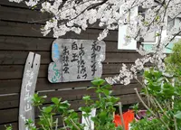 墨俣桜まつりの写真・動画_image_27044