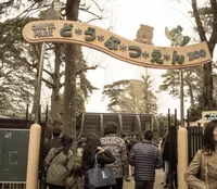 大宮公園の写真・動画_image_27232