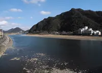 長良橋の写真・動画_image_27940